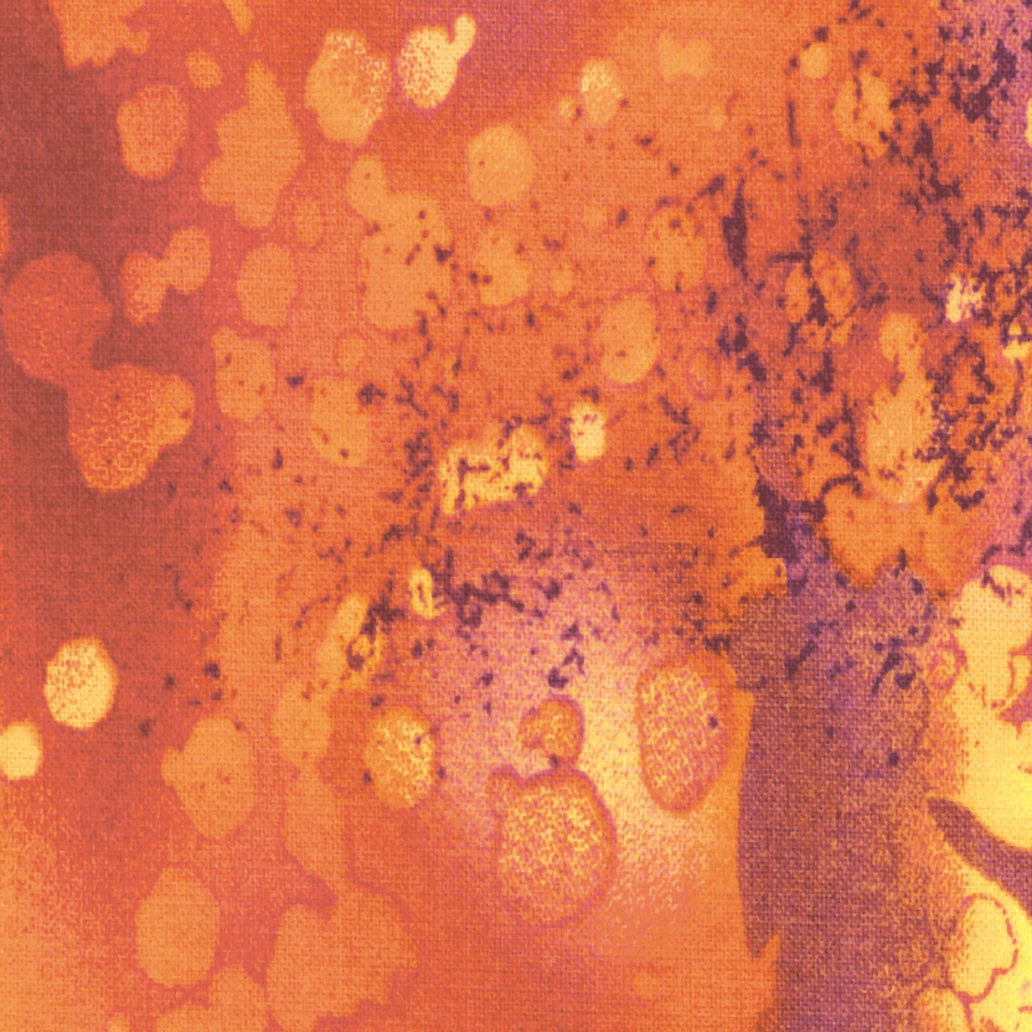 Flaming Sunset Fossil Fern - Benarex