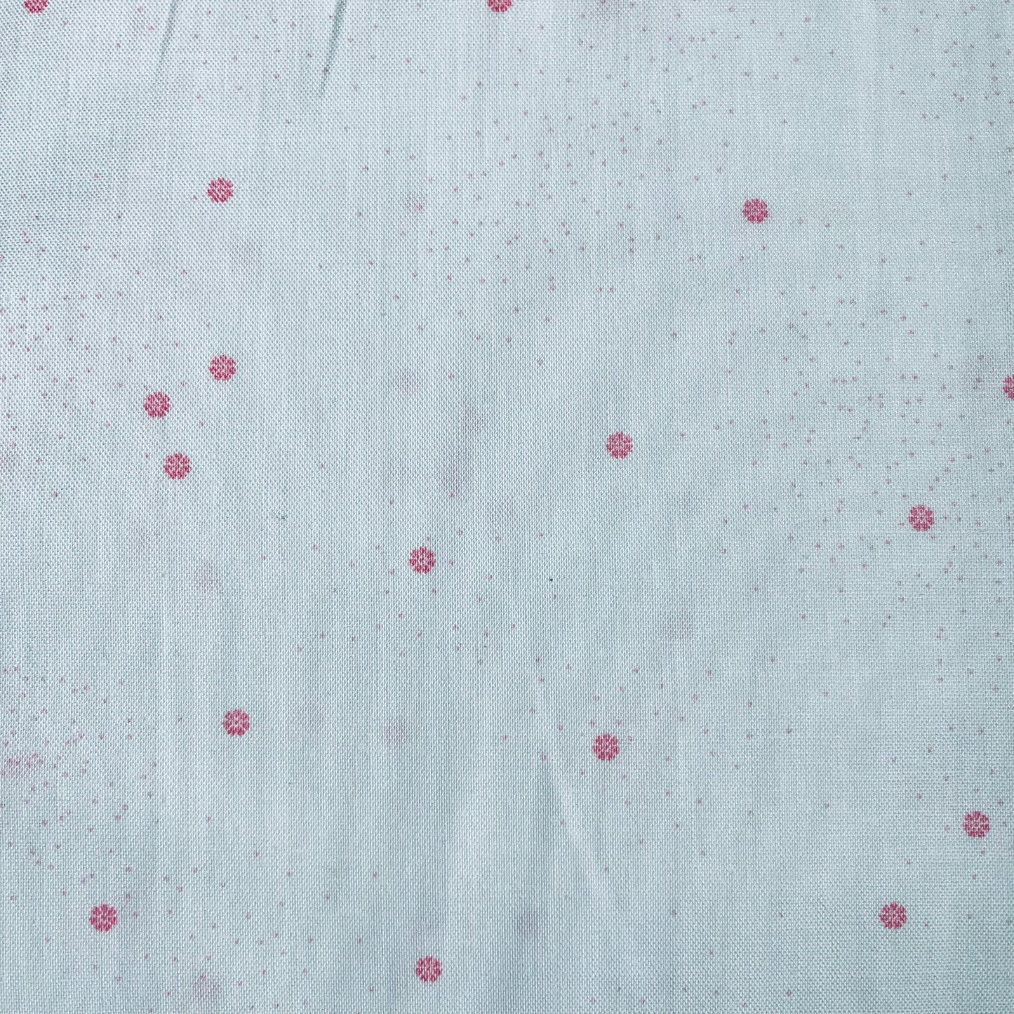 Dainty Daisy - White/Pink - Riley Blake Designs