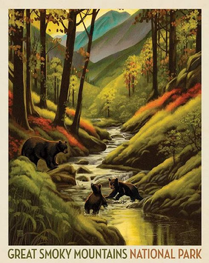 National Parks Panel - Great Smoky Mountains - Riley Blake Designs