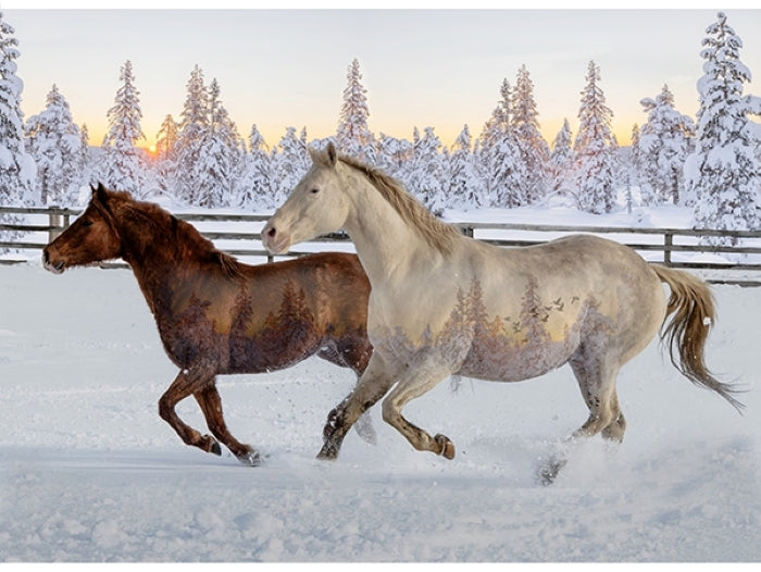 Call of the Wild - Sunset Mustangs - Hoffman Fabrics of California