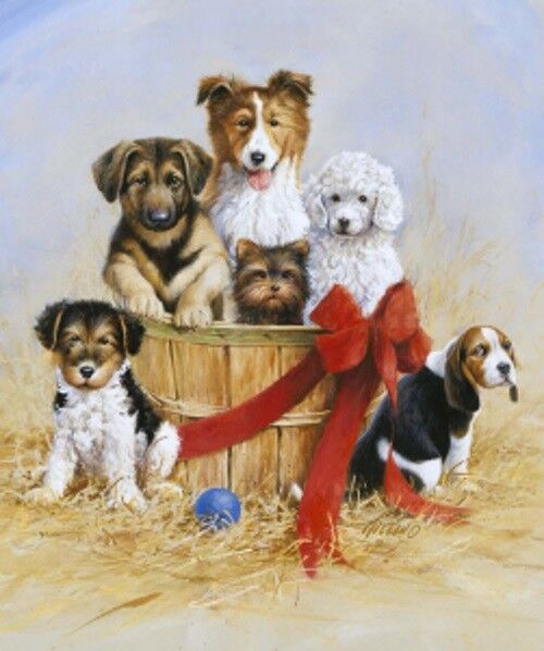 Wild & Playful Puppies Panel  - Riley Blake Designs