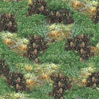 Bear Country - QT Fabrics