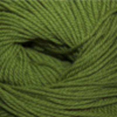 220 Superwash® - #802 Green Apple - Cascade Yarns
