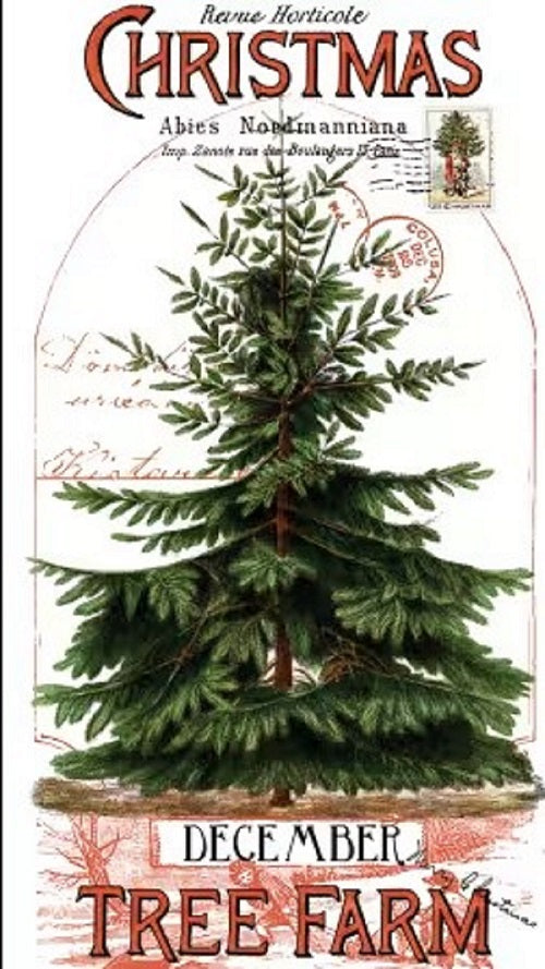 Vintage-style Christmas tree farm poster with a large Christmas tree and decorative text.
