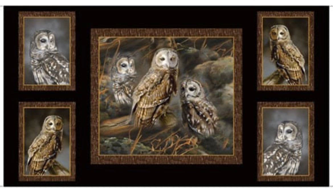 Nocturnal Wonders Barred Owls Panel Black - QT Fabrics