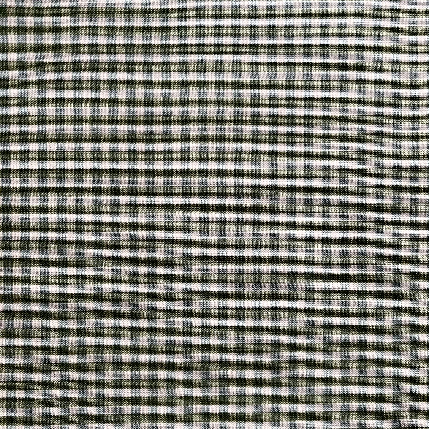 Memories Gingham, Green/white - Wilmington Prints