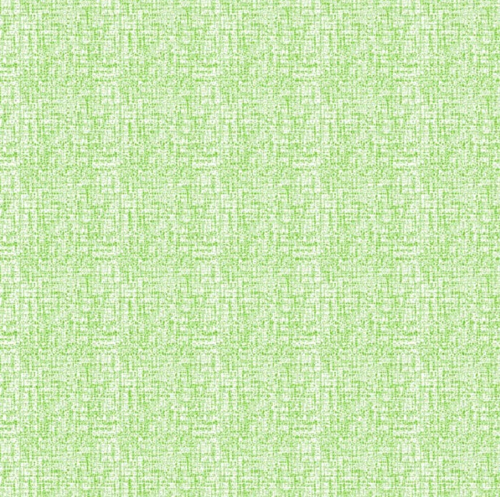 Kiwi Blender Texture - Michael Miller