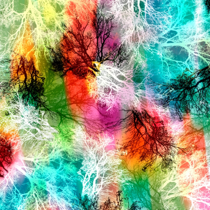 Tree Dance - Branches, Multi-Colored - QT Fabrics