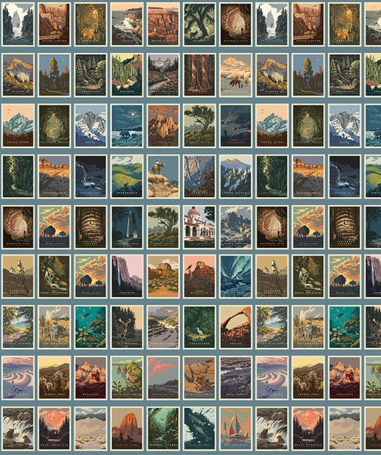 National Parks - Postcards on Blue - Riley Blake Designs