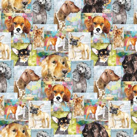 Multi Color Best Friends Collage - Clothworks